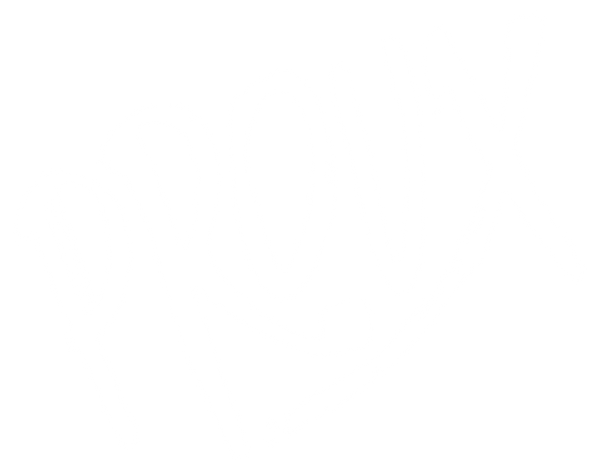 Proux' vinyl store